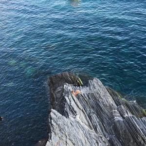 Meet your Posher, Terri